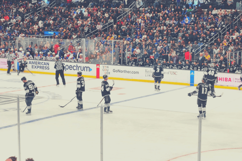 Los Angeles : Billet pour un match de hockey sur glace des LA KingsSièges ordinaires