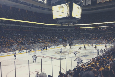 Boston: Boston Bruins Ice Hockey Game Ticket at TD Garden Budget Seating