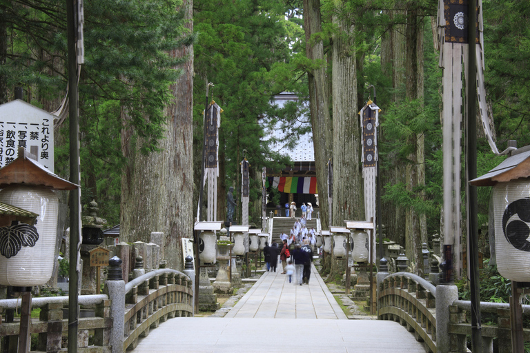 Von Osaka aus: Mt Koya Private Wander- und Zug-TagestourPrivate Tour