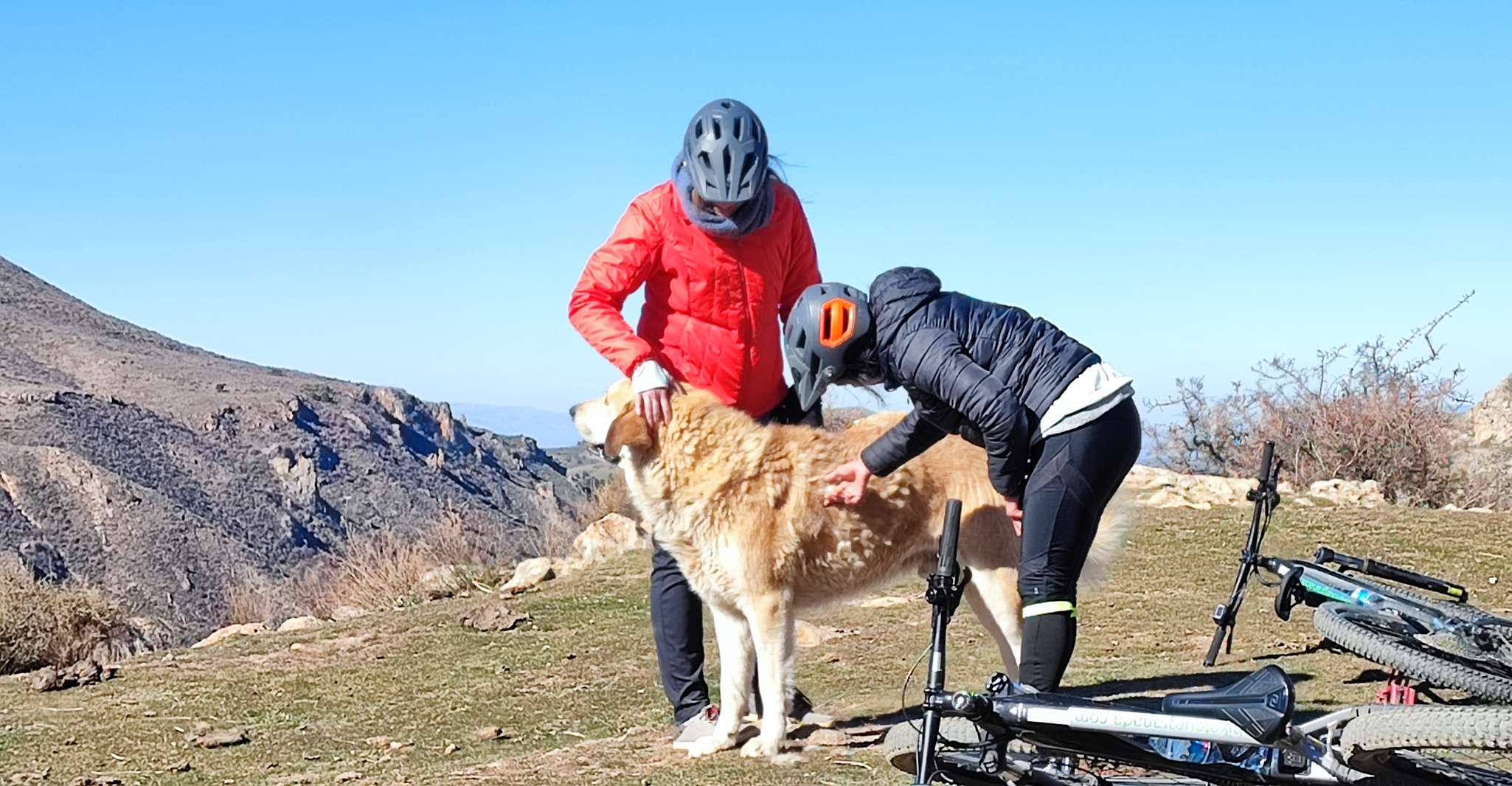 Sierra Nevada Small Group E-Bike Tour - Housity