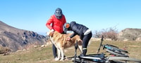 Sierra Nevada Small Group E-Bike Tour - Housity