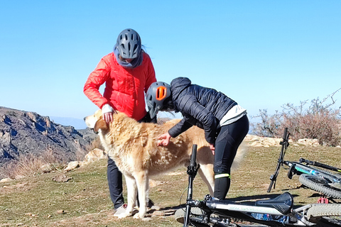 Sierra Nevada : visite guidée en petit groupe en e-bike