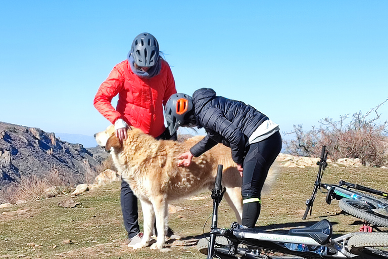 Tour della Sierra Nevada in E-Bike per piccoli gruppiTour in e-bike per piccoli gruppi della Sierra Nevada