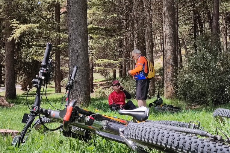 Sierra Nevada : visite guidée en petit groupe en e-bike