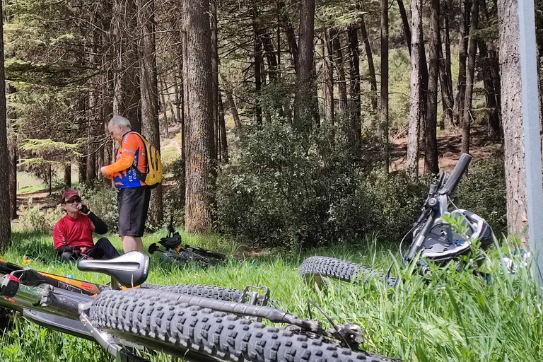 Tour della Sierra Nevada in E-Bike per piccoli gruppiTour in e-bike per piccoli gruppi della Sierra Nevada