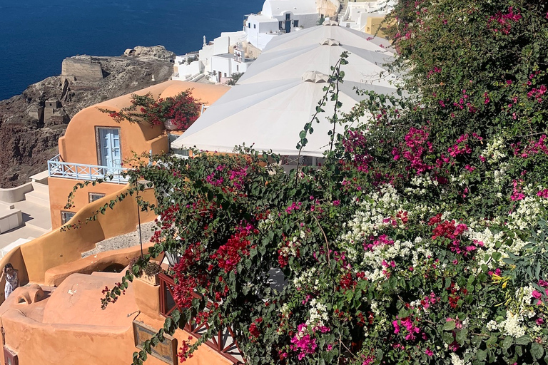 Santorini in a private full-day tour, wine tasting includedSantorini: Private Full-Day Sightseeing Tour( 6-8 hours )