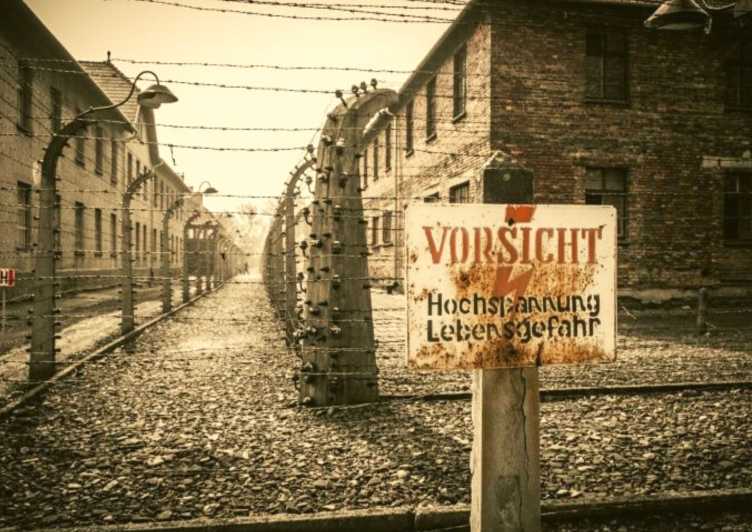 From Warsaw: Auschwitz-Birkenau Small Group Tour with Lunch
