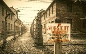 From Warsaw: Auschwitz-Birkenau Small Group Tour with Lunch