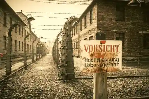 From Warsaw: Auschwitz-Birkenau Small Group Tour with Lunch
