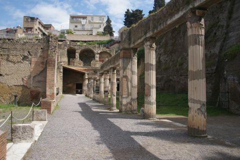 From Naples: Guided Tour in Herculaneum with Entrance Ticket