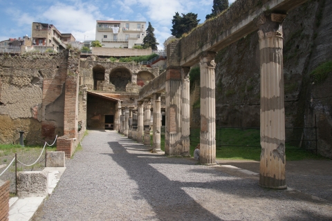 Vanuit Napels: rondleiding in Herculaneum met toegangsbewijsVanuit Napels: rondleiding in Herculaneum met assistent aan boord