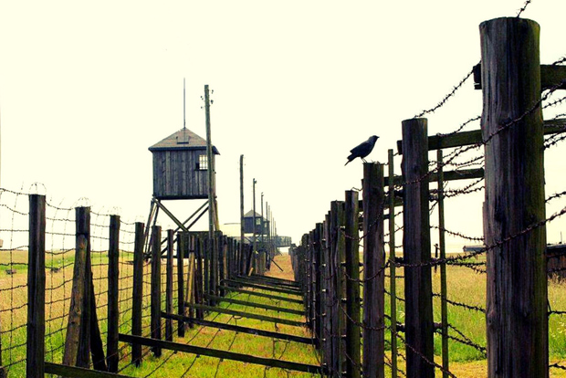 Tour per piccoli gruppi di Lublino e Majdanek da Varsavia con pranzo