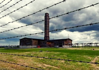 Lublin & Majdanek Small-Group Tour from Warsaw with Lunch - Housity