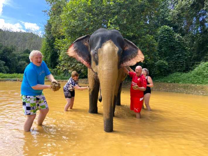 Khao Sok: centro di salvataggio degli elefanti con pranzo e rafting in bambù