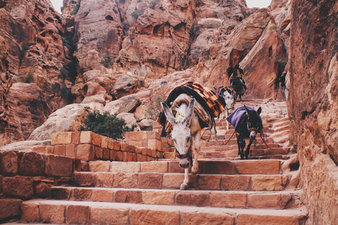 Desde Tel Aviv: Excursión de 2 días a Petra con vuelos y alojamientoHotel de lujo de 5 estrellas