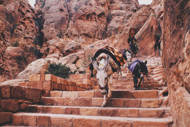 Da Tel Aviv: Tour di Petra di 2 giorni con voli e alloggioHotel 3 stelle di classe turistica