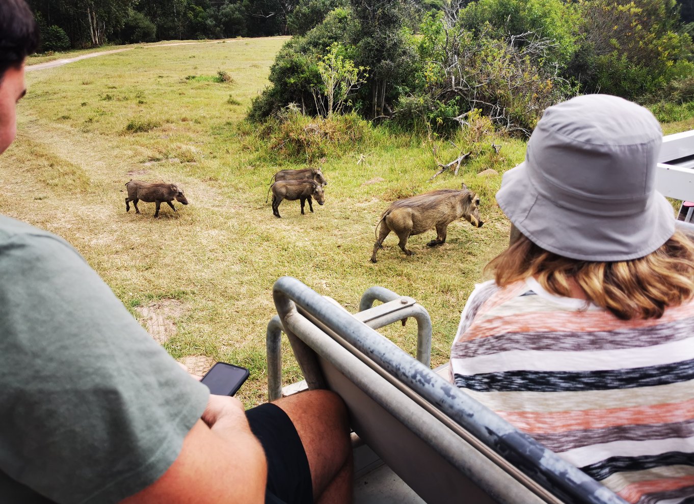 Port Elizabeth: Byrundvisning og dyrelivssafari i 4x4