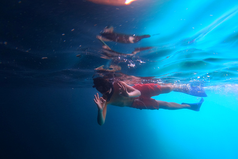 Procida : tour en bateau avec arrêts baignade et photos sous-marines