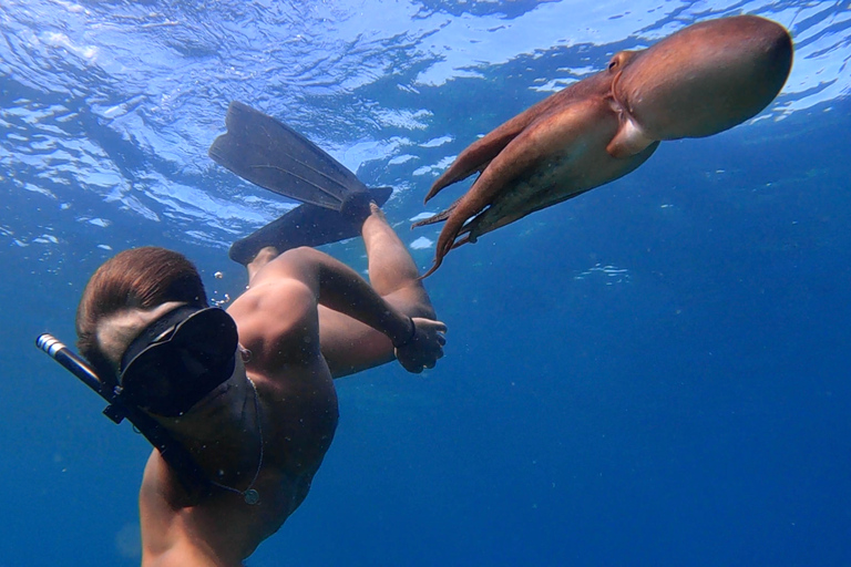 Procida: Boat Tour w/ Swimming Stops and Underwater Photos Procida: Boat Tour with Swimming Stops and Underwater Photos