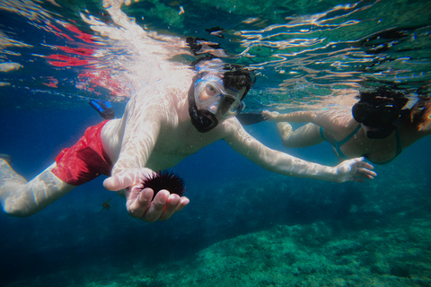 Procida: Boat Tour w/ Swimming Stops and Underwater Photos Procida: Boat Tour with Swimming Stops and Underwater Photos