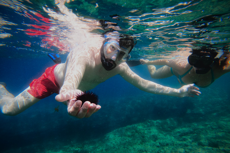 Procida: Boat Tour w/ Swimming Stops and Underwater PhotosProcida: Boat Tour with Swimming Stops and Underwater Photos