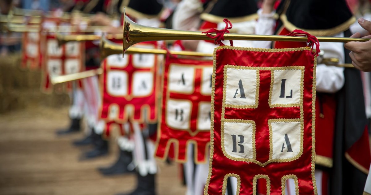 Alba Historische Stadt Highlights Geführte Tour GetYourGuide