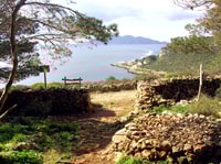 Von Trapani von Favignana und Levanzo mit Mittagessen nach Favignana und Levanzo - Housity