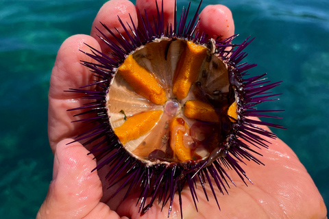 Procida: Boat Tour w/ Swimming Stops and Underwater Photos Procida: Boat Tour with Swimming Stops and Underwater Photos