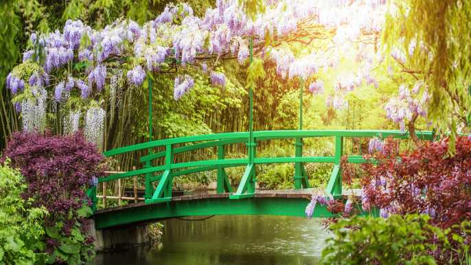 Desde París: Giverny, Casa y Jardines de Monet Excursión de medio día