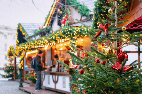 Magische Weihnachtstour in Göteborg