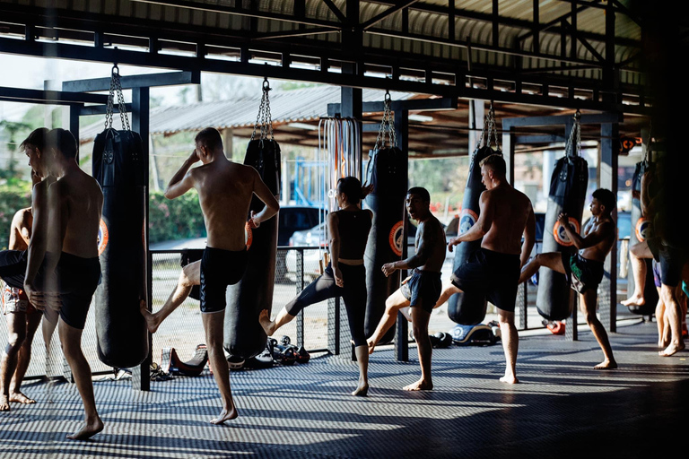 Chiangmai : Académie d&#039;entraînement au Muay ThaiChiangmai Muaythai training