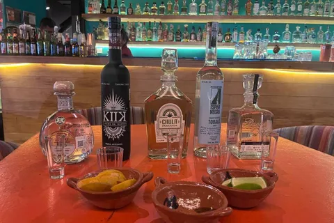 Visita al Museo del Tequila y el Mezcal con Degustación