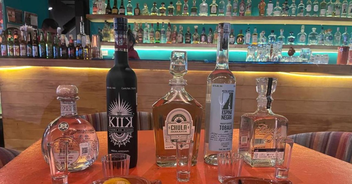 Mexico City Tequila Og Mezcal Museum Tour Med Smagning Getyourguide