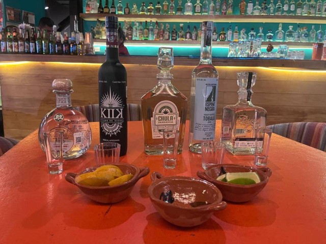 Visit Mexico City Tequila and Mezcal Museum Tour with Tasting in Ciudad de México, México