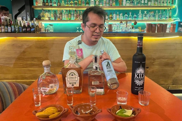 Mexico City: Tequila & Mezcal Museum w/ Tasting & Tour