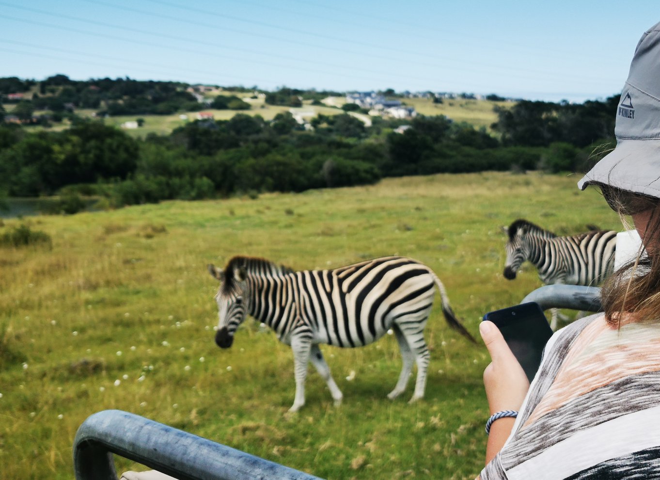 Port Elizabeth: Byrundvisning og dyrelivssafari i 4x4