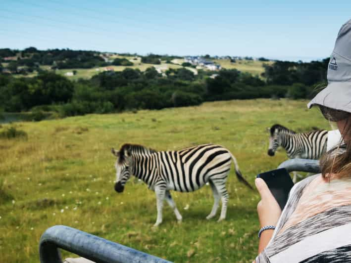 port elizabeth safari tours