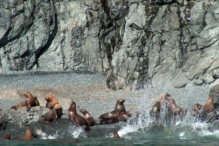 Valdez: 6-Hour Columbia Glacier Cruise