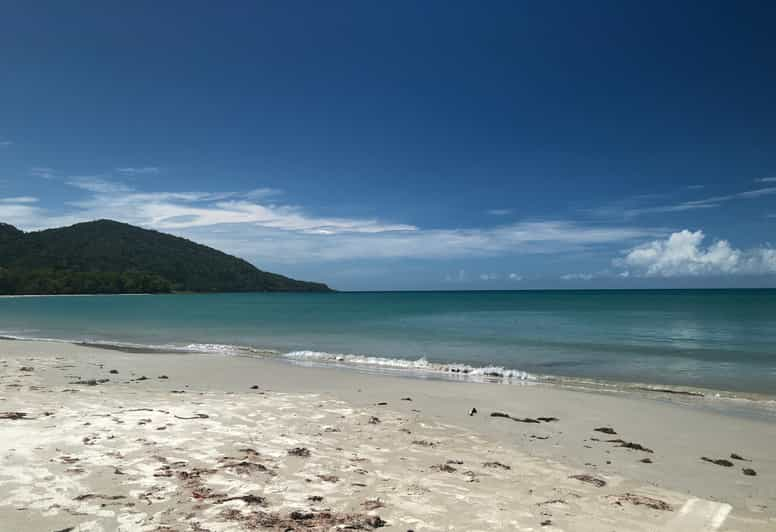 Port Douglas: Daintree, Cape Tribulation, Mossman Gorge Tour | GetYourGuide