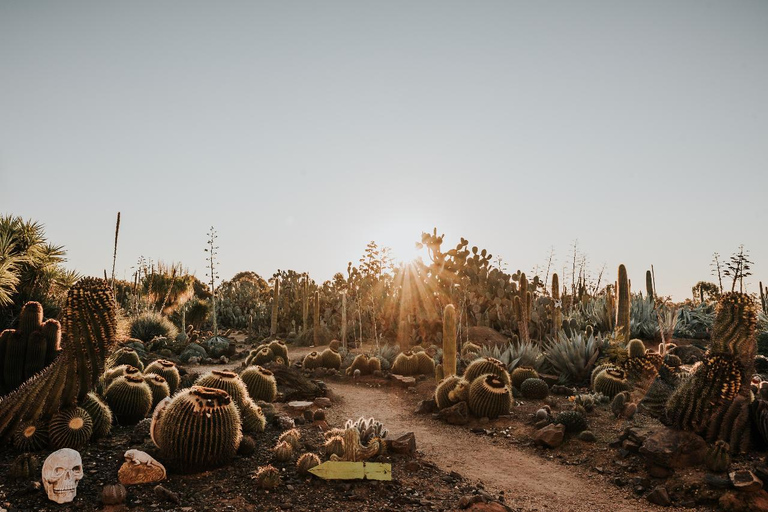 Cactus Country: Entry Ticket Strathmerton: Cactus Country General Admission Entry Ticket