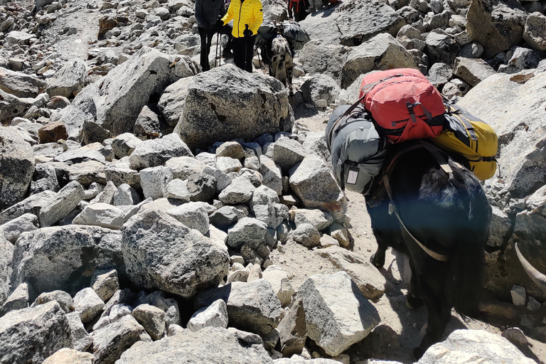 Everest Basislager Trek