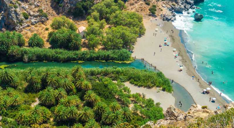 Creta: gita giornaliera guidata alla spiaggia di Preveli con trasferimenti