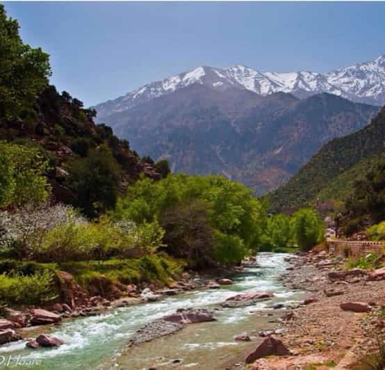 Desde Marrakech: Tour De 1 Día Al Valle De Ourika Y Atlas | GetYourGuide