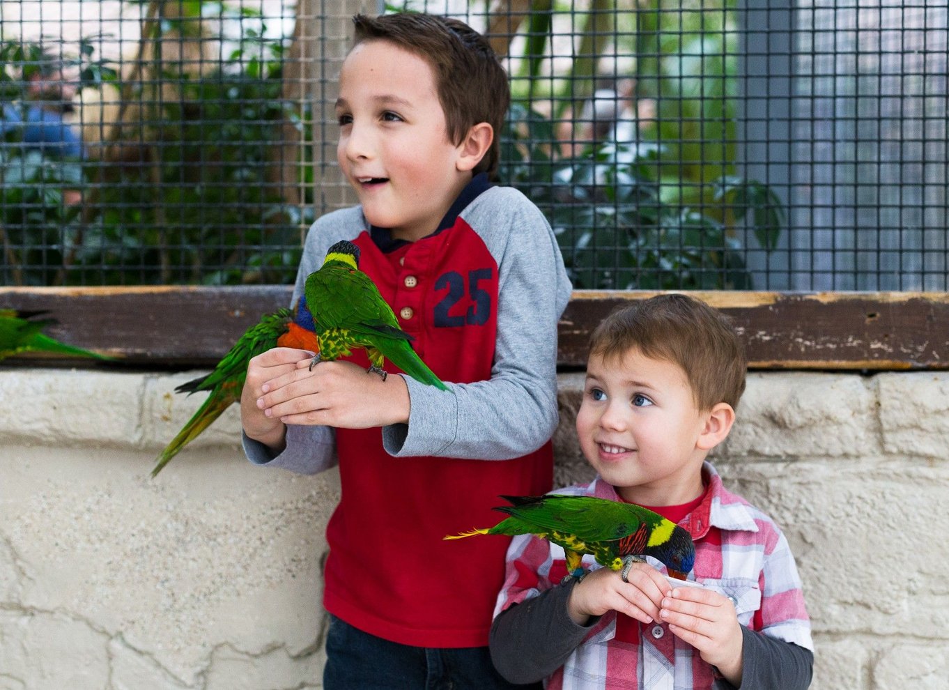 Niagara Falls, Canada: Bird Kingdom Entry Ticket