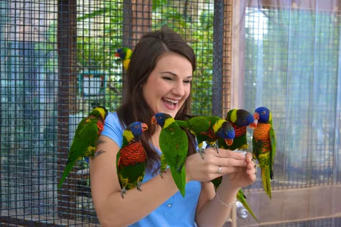 Niagara Falls, Canada: Bird Kingdom Entry Ticket