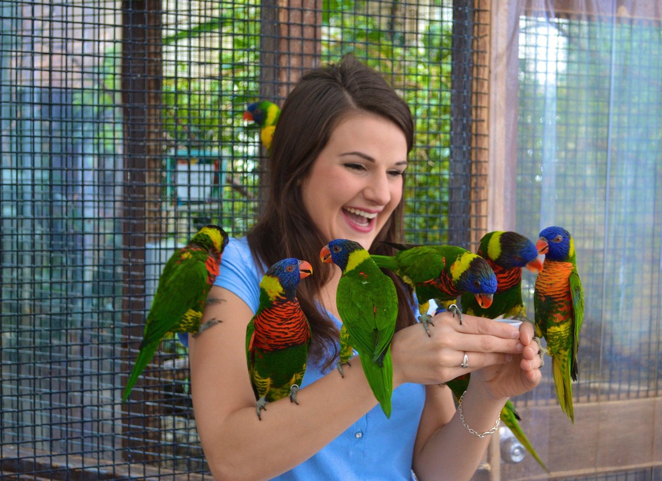 Niagara Falls, Canada: Bird Kingdom Entry Ticket