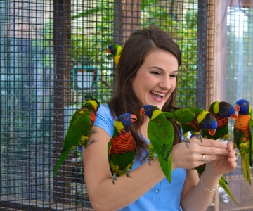 Niagara Falls, Canada: Bird Kingdom Entry Ticket