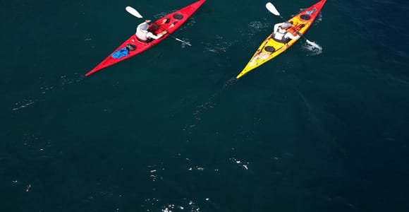 Amalfiküste: Höhlen & versteckte Strände – Kajak- & Schnorcheltour