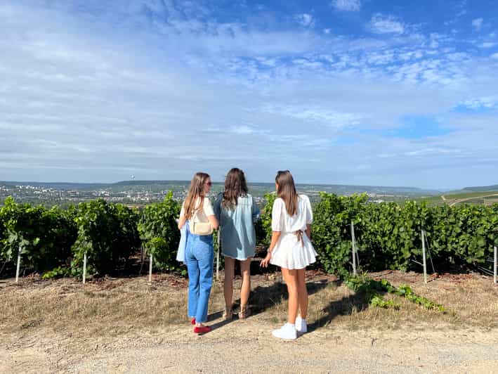 From Reims/Epernay Tour: The Connoisseurs with 9 tastings