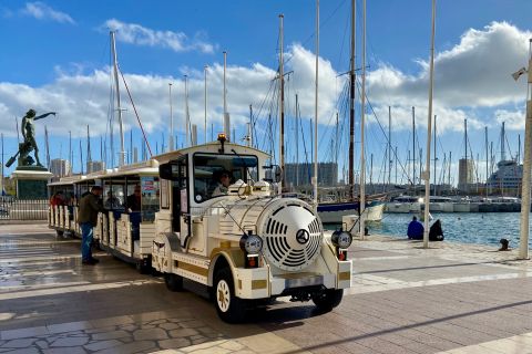 Toulon: Little Train Hop-On Hop-Off Ticket